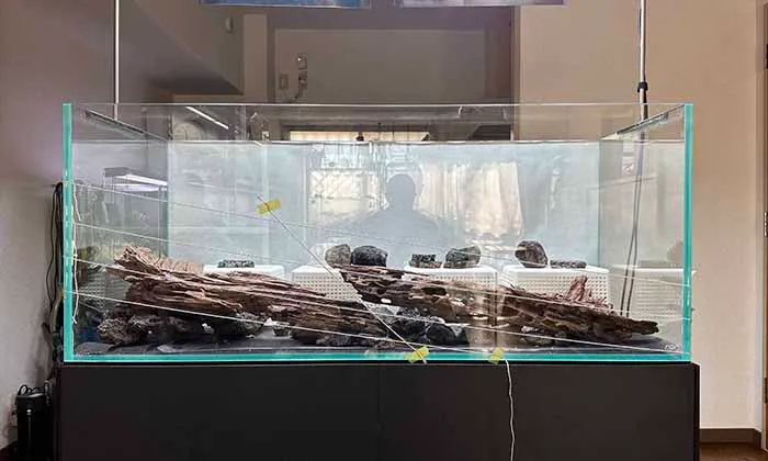 Aquascaping steps Color layers of the earth IAPLC 2024 - Kazuma Takeuchi / Japan